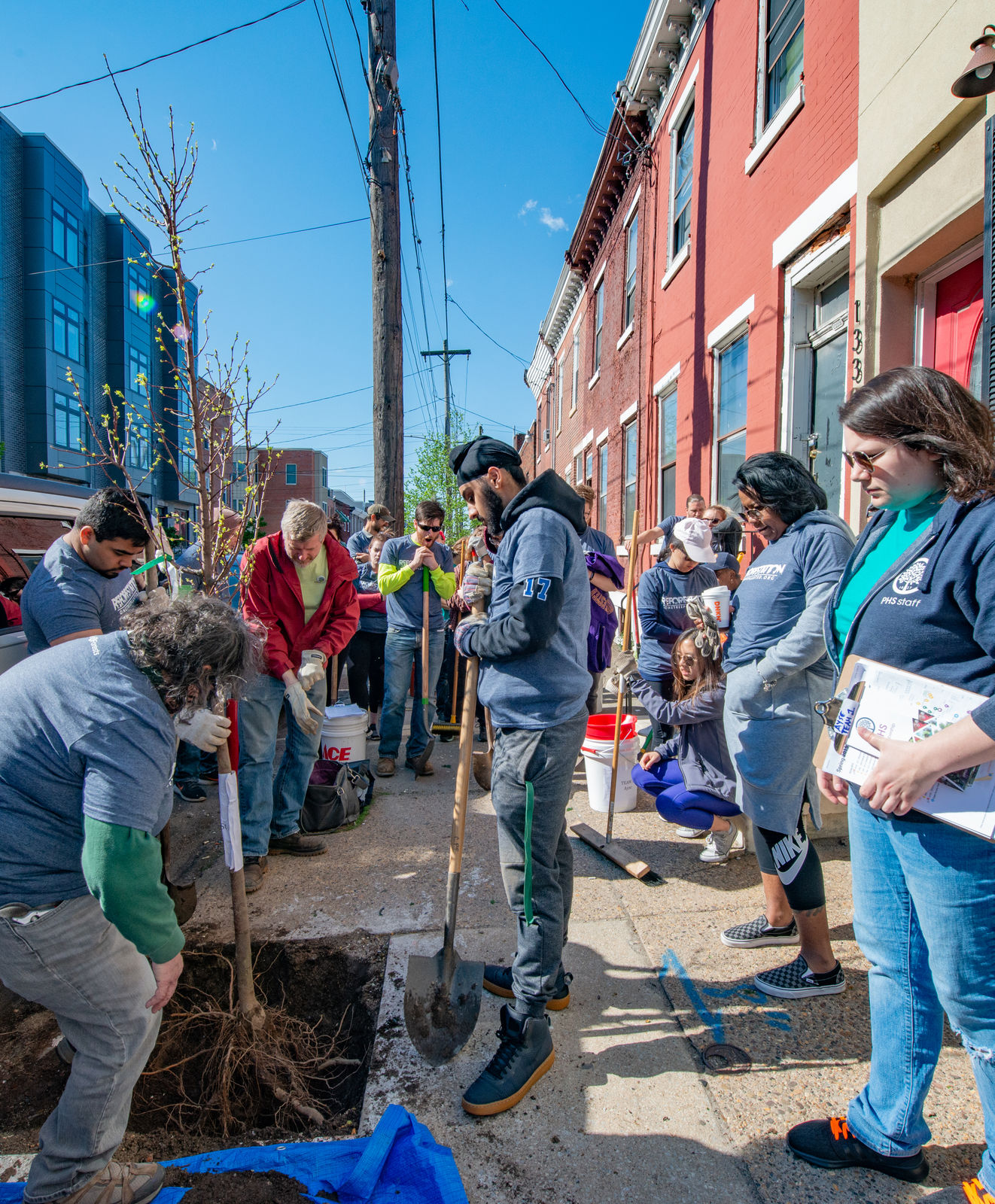 Group of tree tenders volunteers planting trees in Philadelphia neighborhood