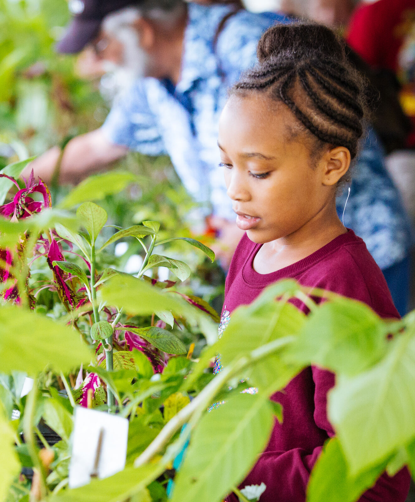 Young girl looking at plants.