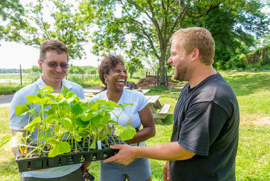 Pennsylvania tuinbouwvereniging leeg land programma