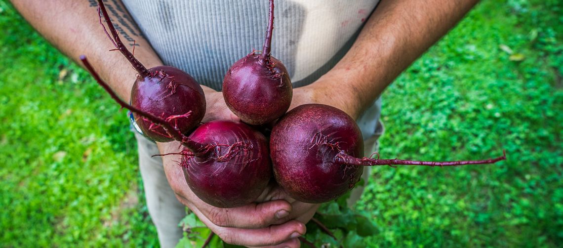 Beets_Donate Food