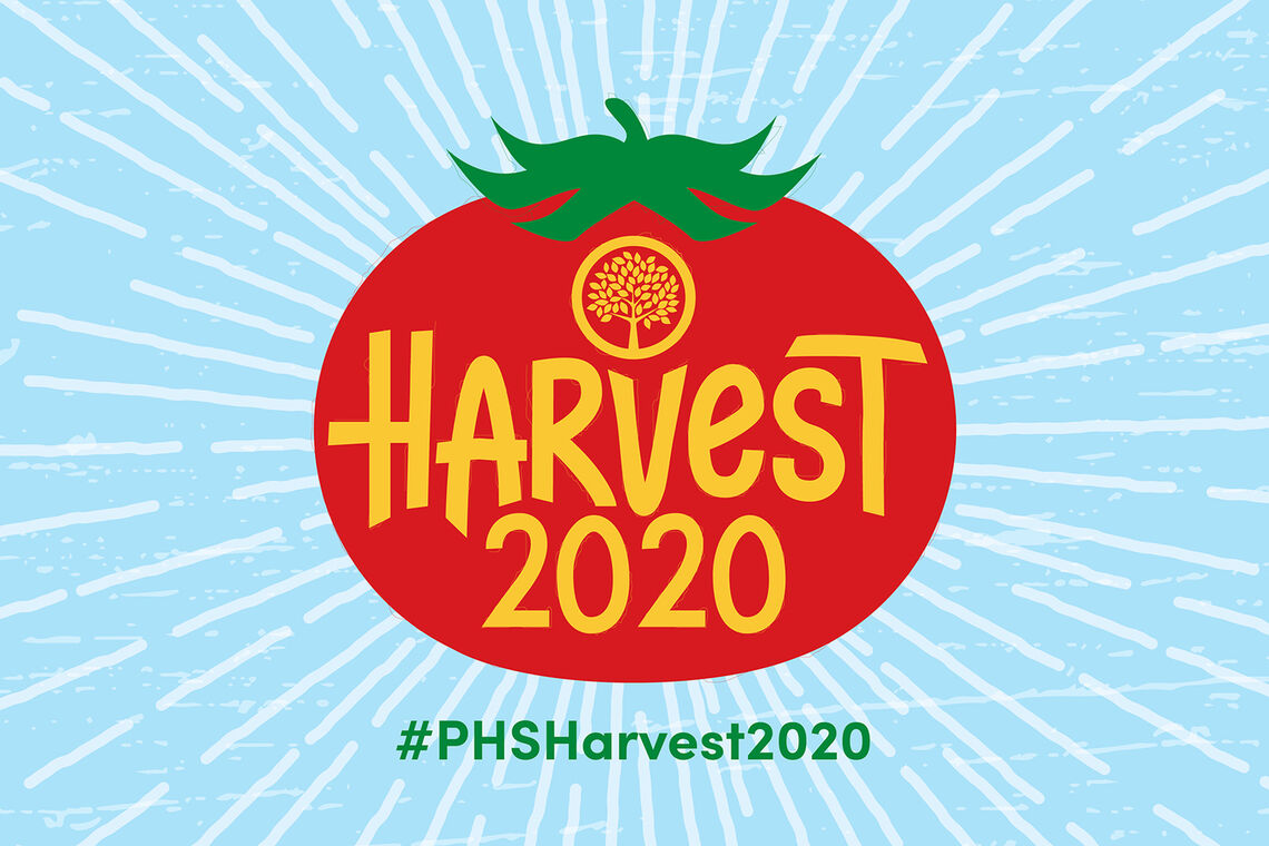 Harvest_title-graphic