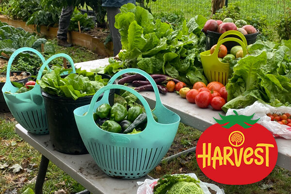harvest produce logo