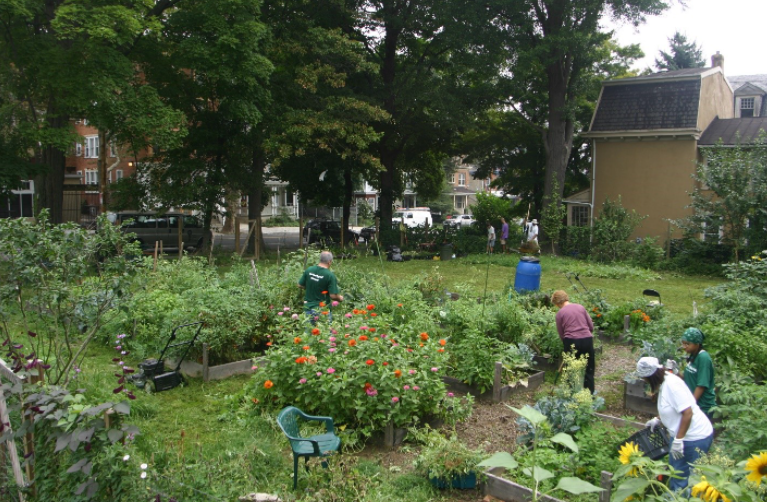 community garden for earth day