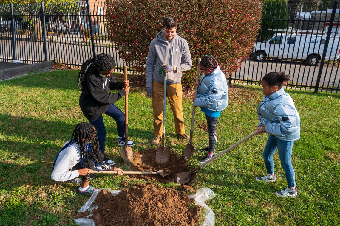 post counting on trees image neighbors planting tree