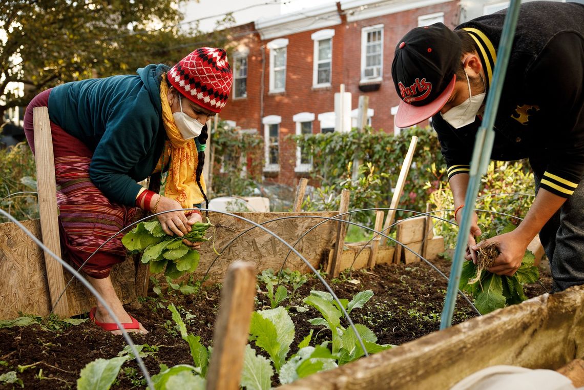 5 Ways to Make Your Garden More Eco-Friendly