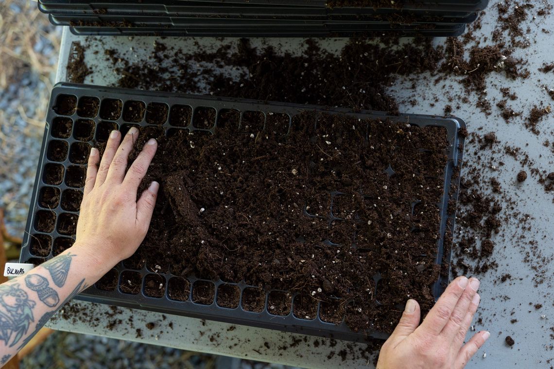 june 2024 seeding at strawberry mansion grc credit morgan horell 14