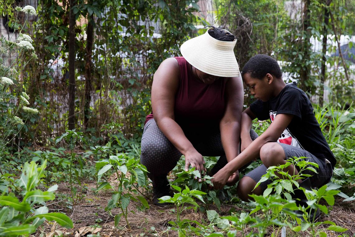 phs communitygardens marquita 9