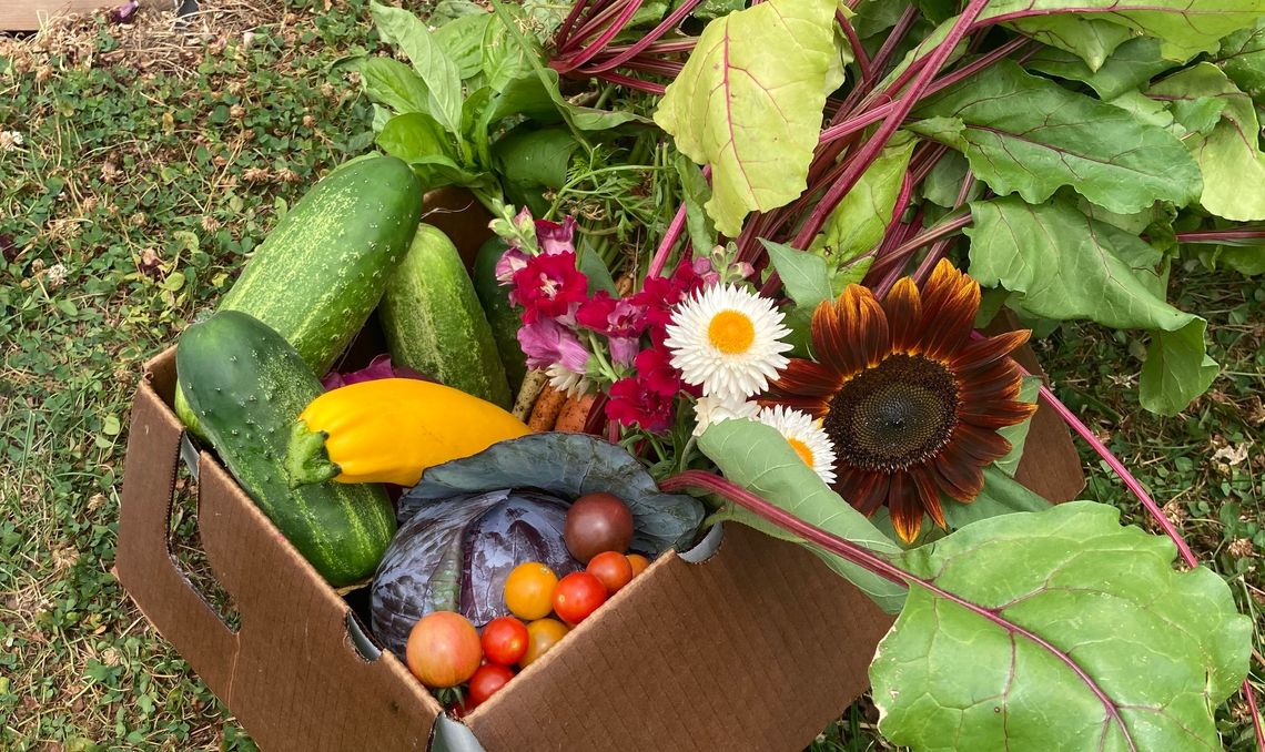 box fresh vegetables