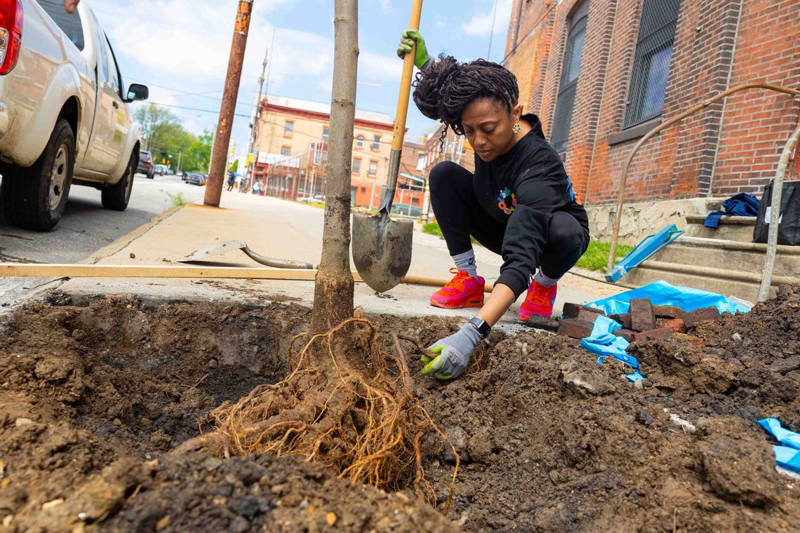 2024 summer tree tenders hero