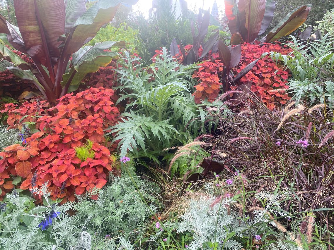 fall garden 2