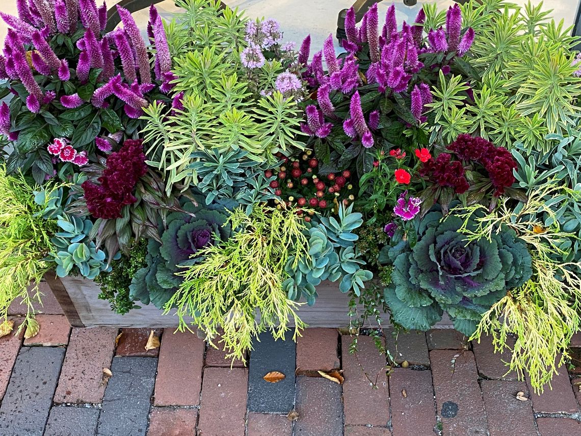 fall container on nantucket